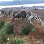 3 Bedroom Over Looking Dathee & Golf Course Alpstuga Saint-Manvieu-Bocage