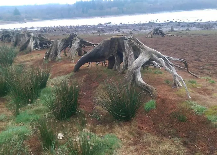 3 Bedroom Over Looking Dathee & Golf Course Chalé Saint-Manvieu-Bocage